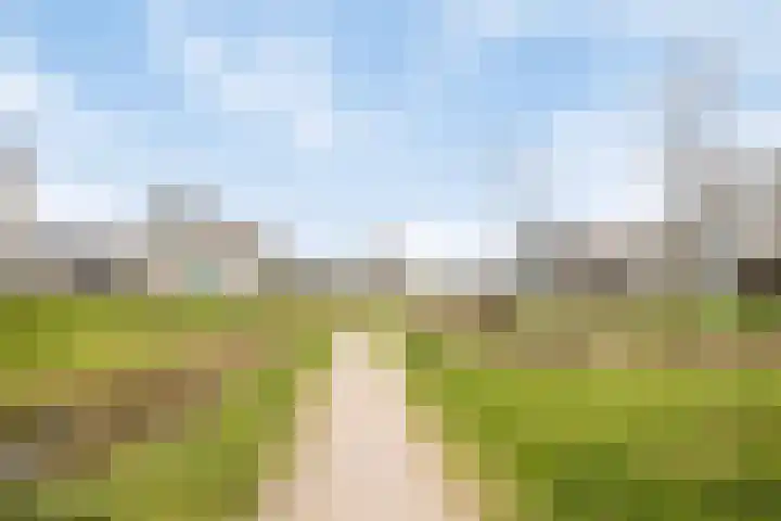 Grasbloem 2 E Eindhoven thumbnail 38