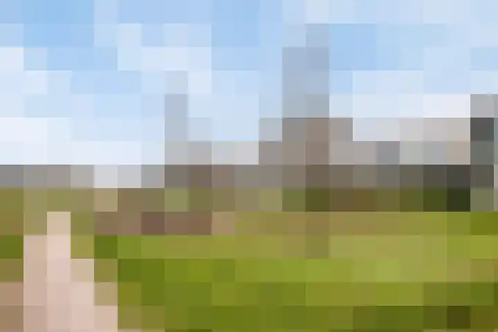 Grasbloem 2 E Eindhoven thumbnail 39