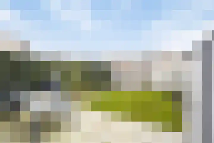 Grasbloem 2 E Eindhoven thumbnail 4