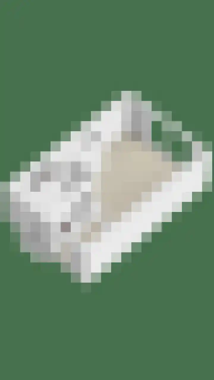Grasbloem 2 E Eindhoven thumbnail 45