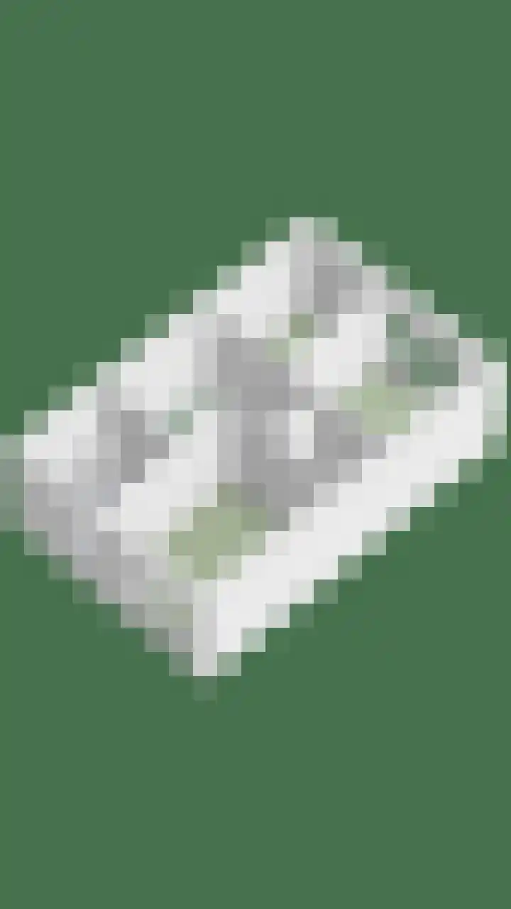Grasbloem 2 E Eindhoven thumbnail 46