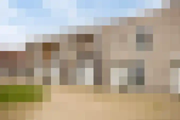 Grasbloem 2 E Eindhoven thumbnail 5