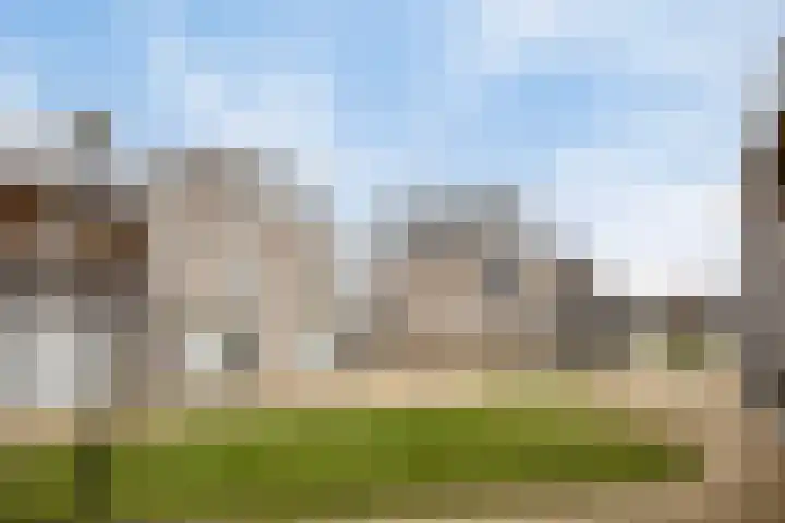 Grasbloem 2 E Eindhoven thumbnail 6