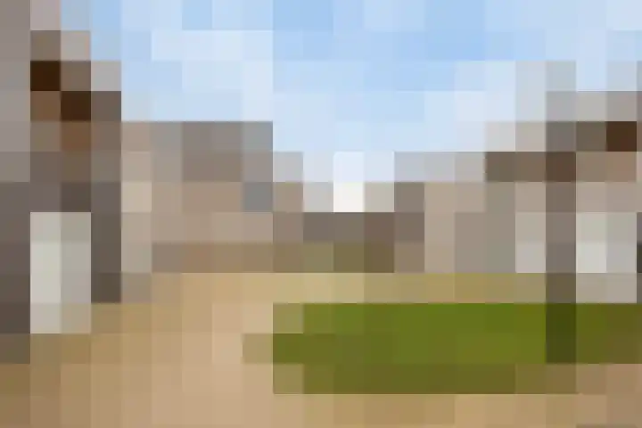 Grasbloem 2 E Eindhoven thumbnail 9
