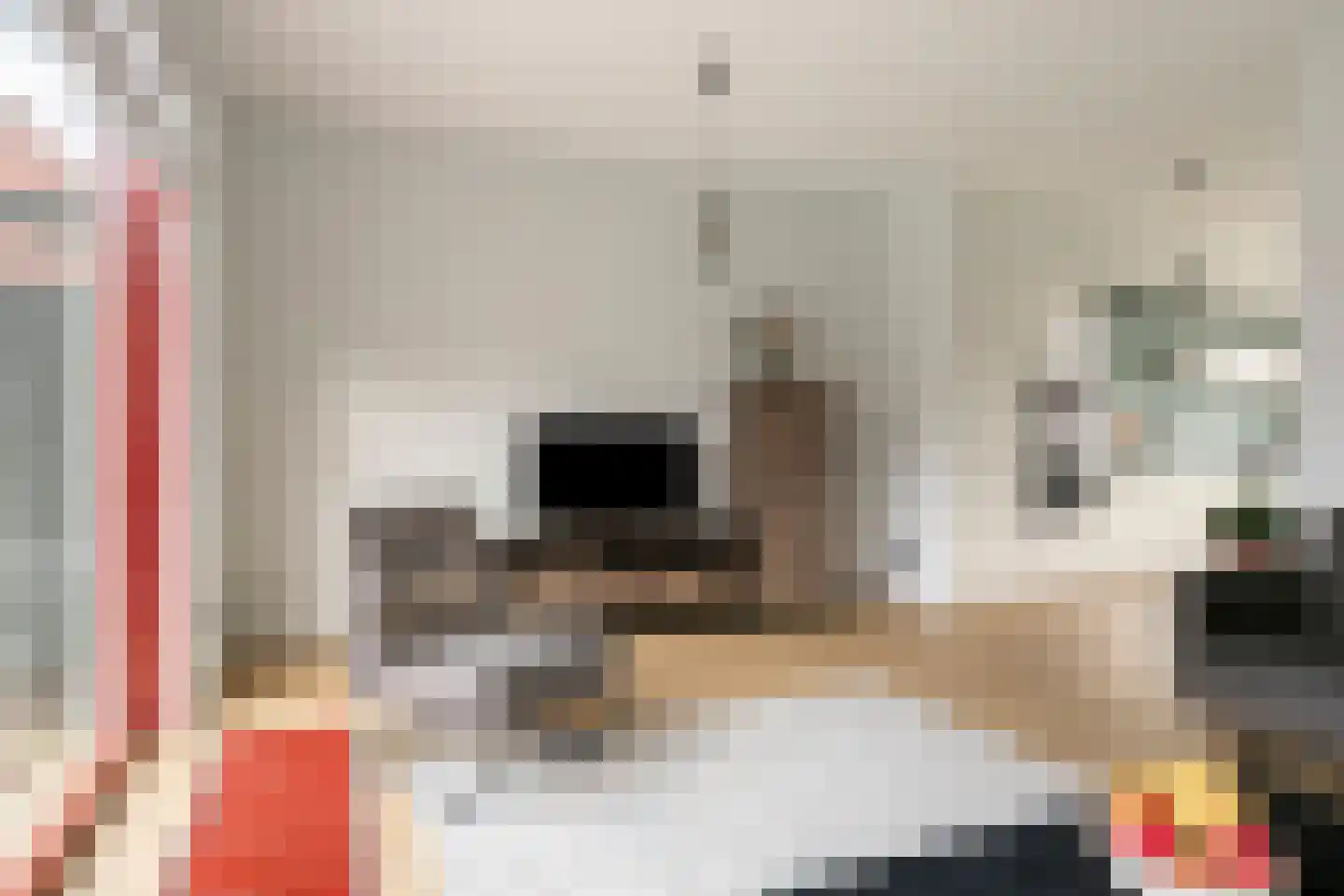 Grasbloem 5 Eindhoven thumbnail 13