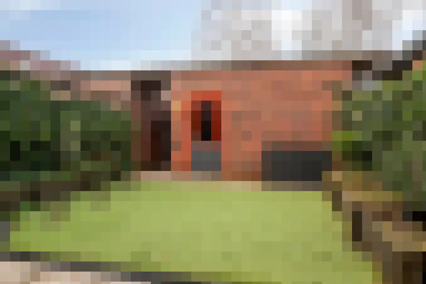 Grasbloem 5 Eindhoven thumbnail 28