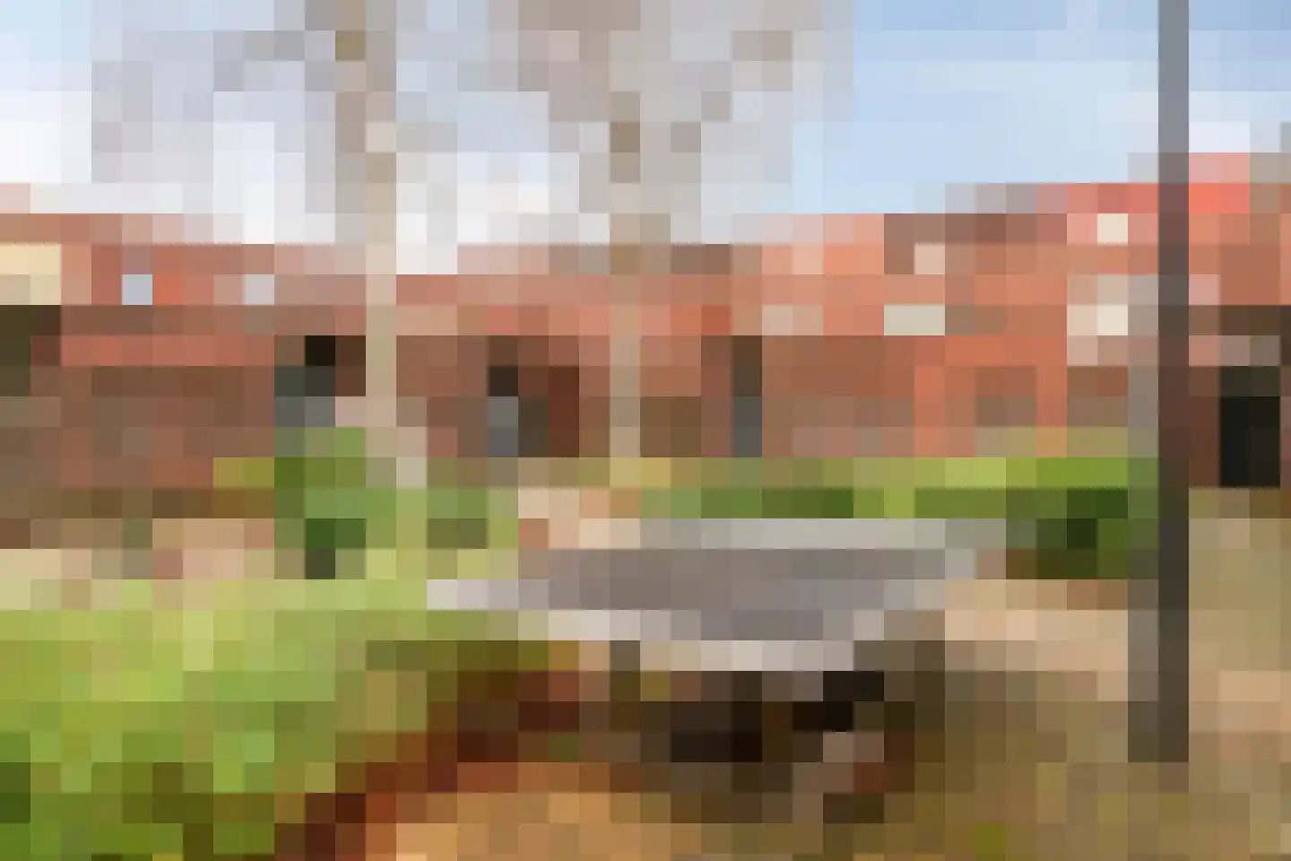 Grasbloem 5 Eindhoven thumbnail 30