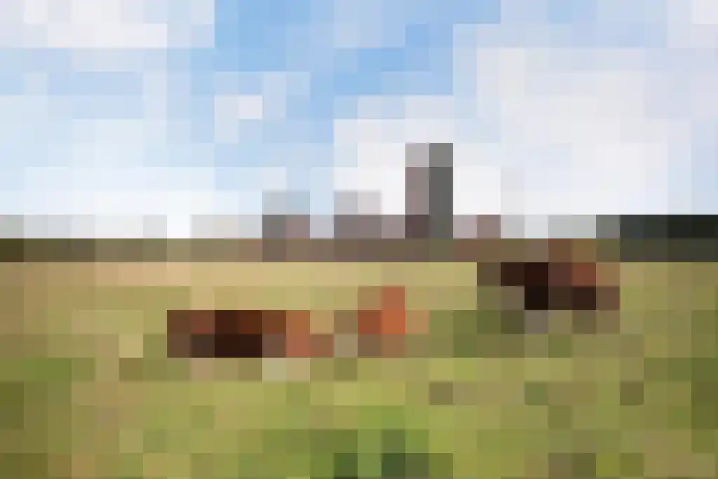 Grasbloem 5 Eindhoven thumbnail 32