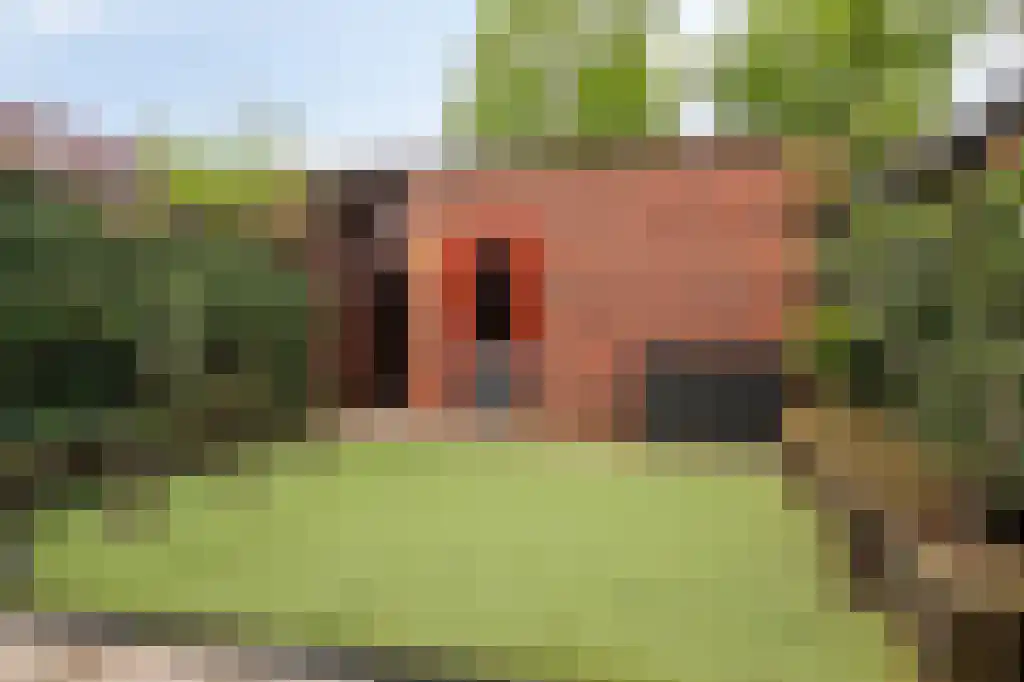 Grasbloem 5 Eindhoven thumbnail 33