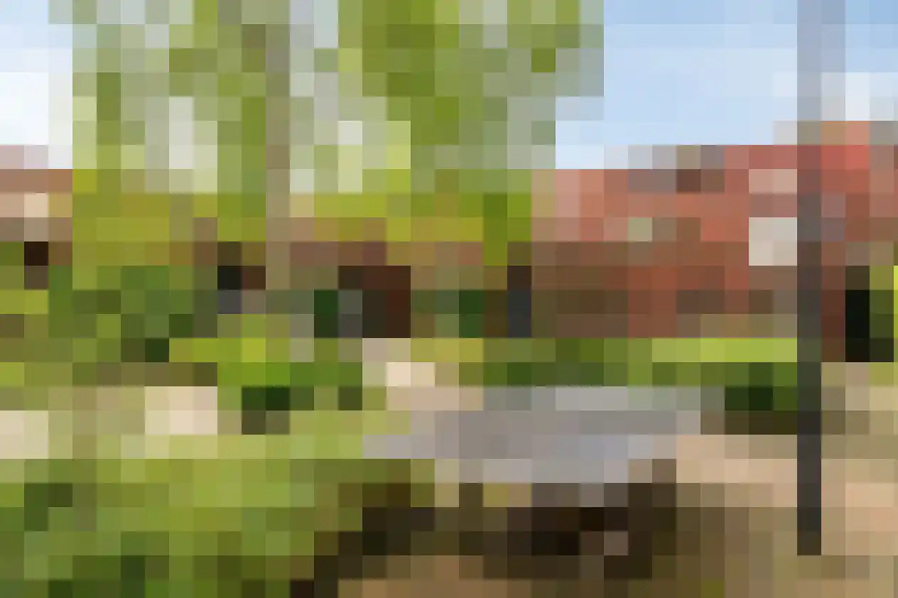 Grasbloem 5 Eindhoven thumbnail 35