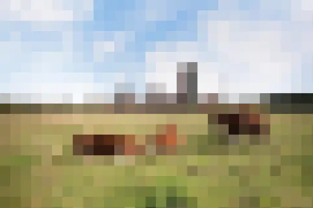 Grasbloem 5 Eindhoven thumbnail 38