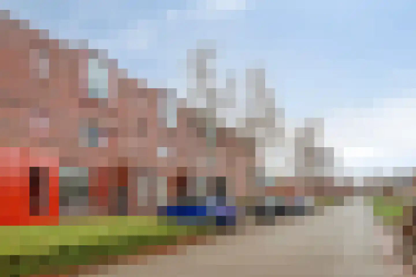 Grasbloem 5 Eindhoven thumbnail 4
