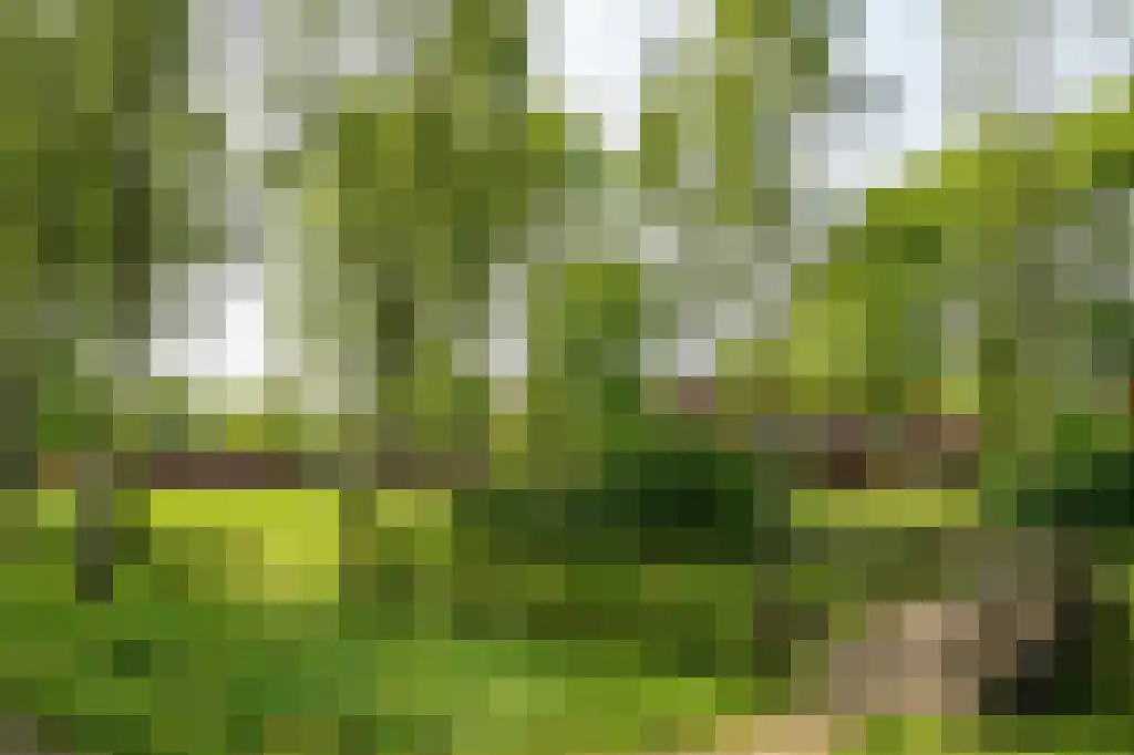 Grasbloem 5 Eindhoven thumbnail 7