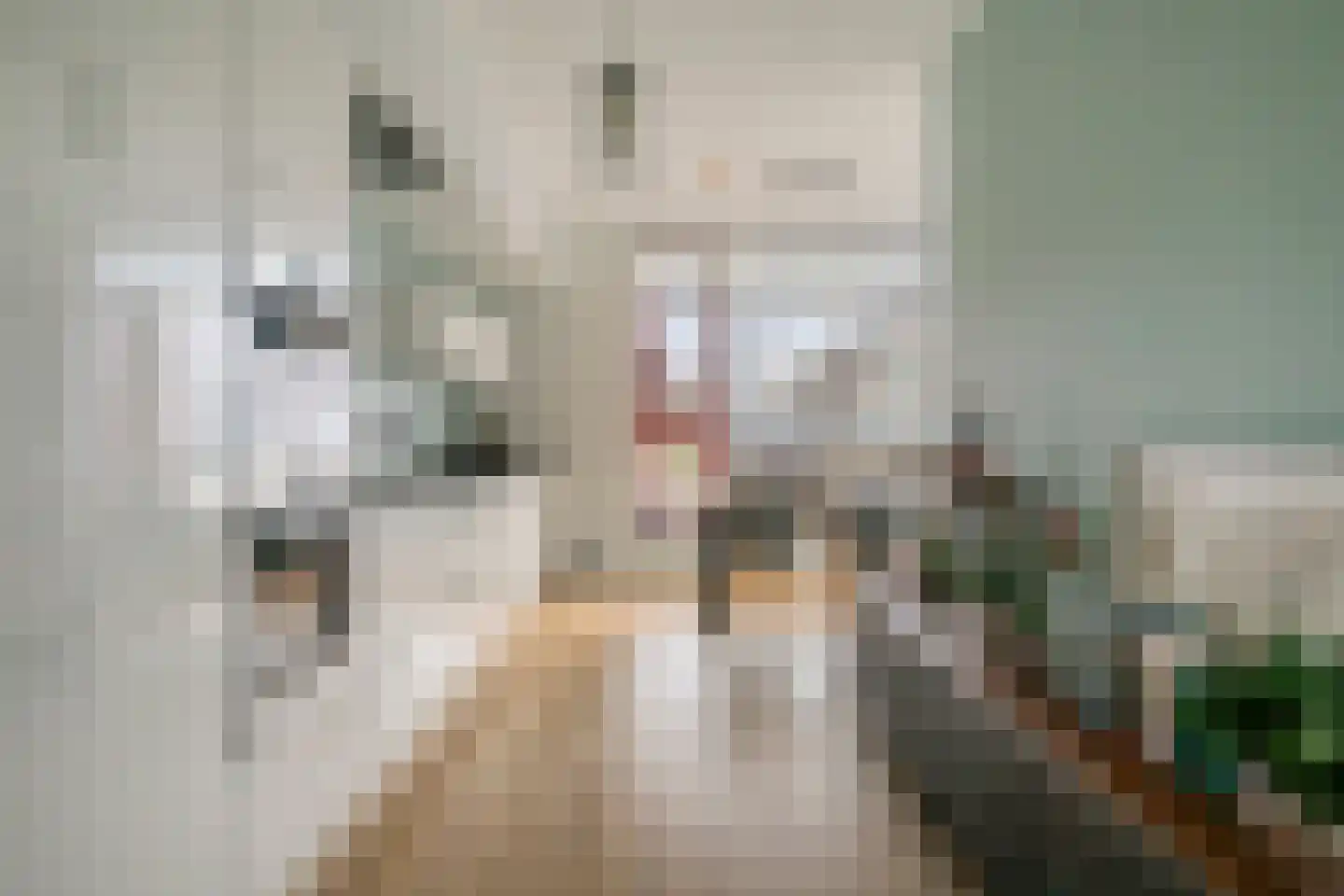 Grasbloem 5 Eindhoven thumbnail 9