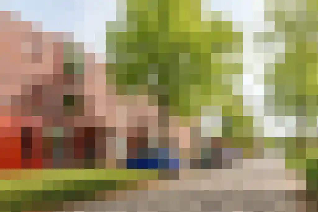Grasbloem 5 Eindhoven thumbnail 9