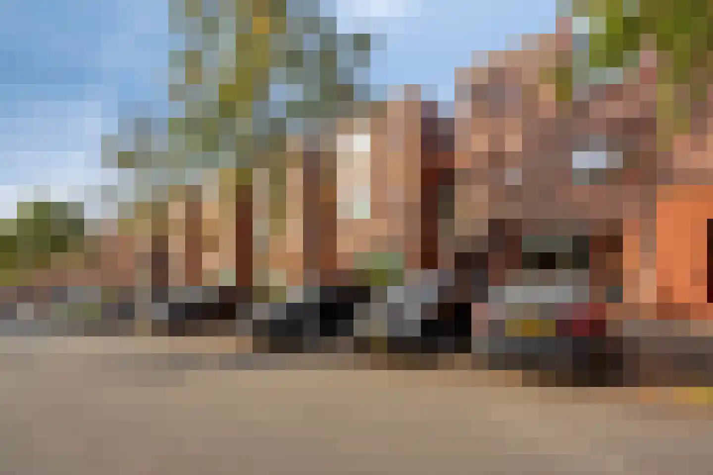 Grasbloem 57 Eindhoven thumbnail 10