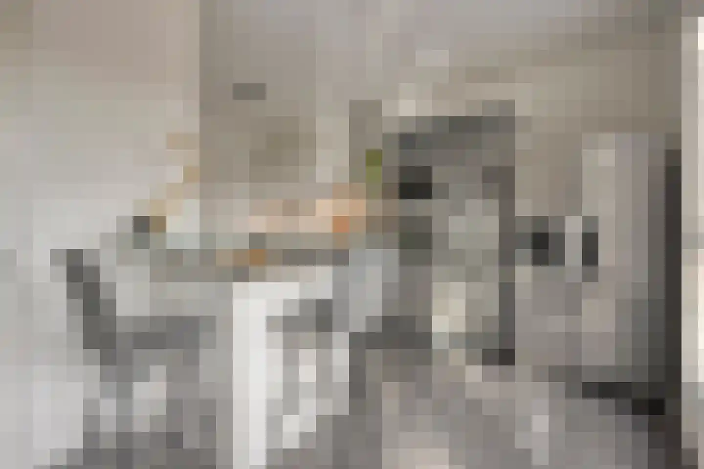 Grasbloem 57 Eindhoven thumbnail 11