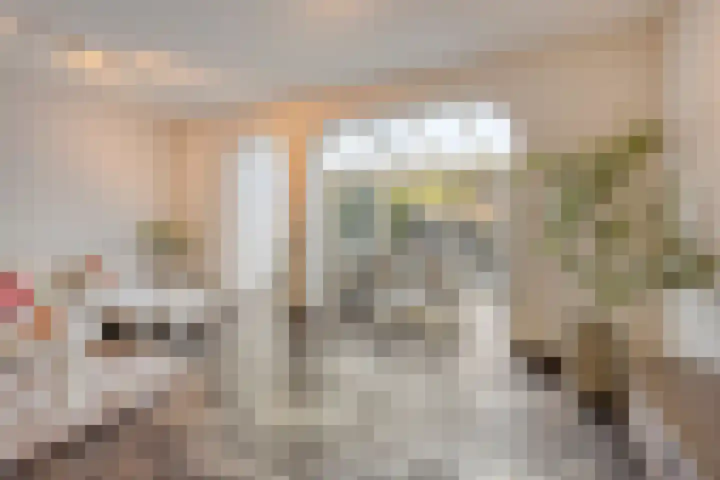 Grasbloem 57 Eindhoven thumbnail 17