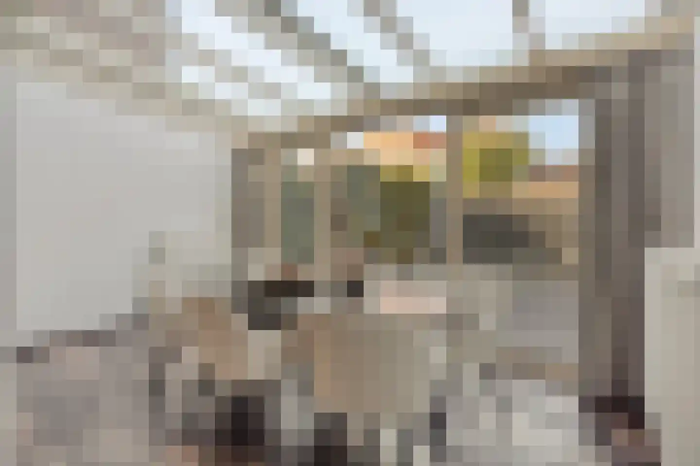 Grasbloem 57 Eindhoven thumbnail 21