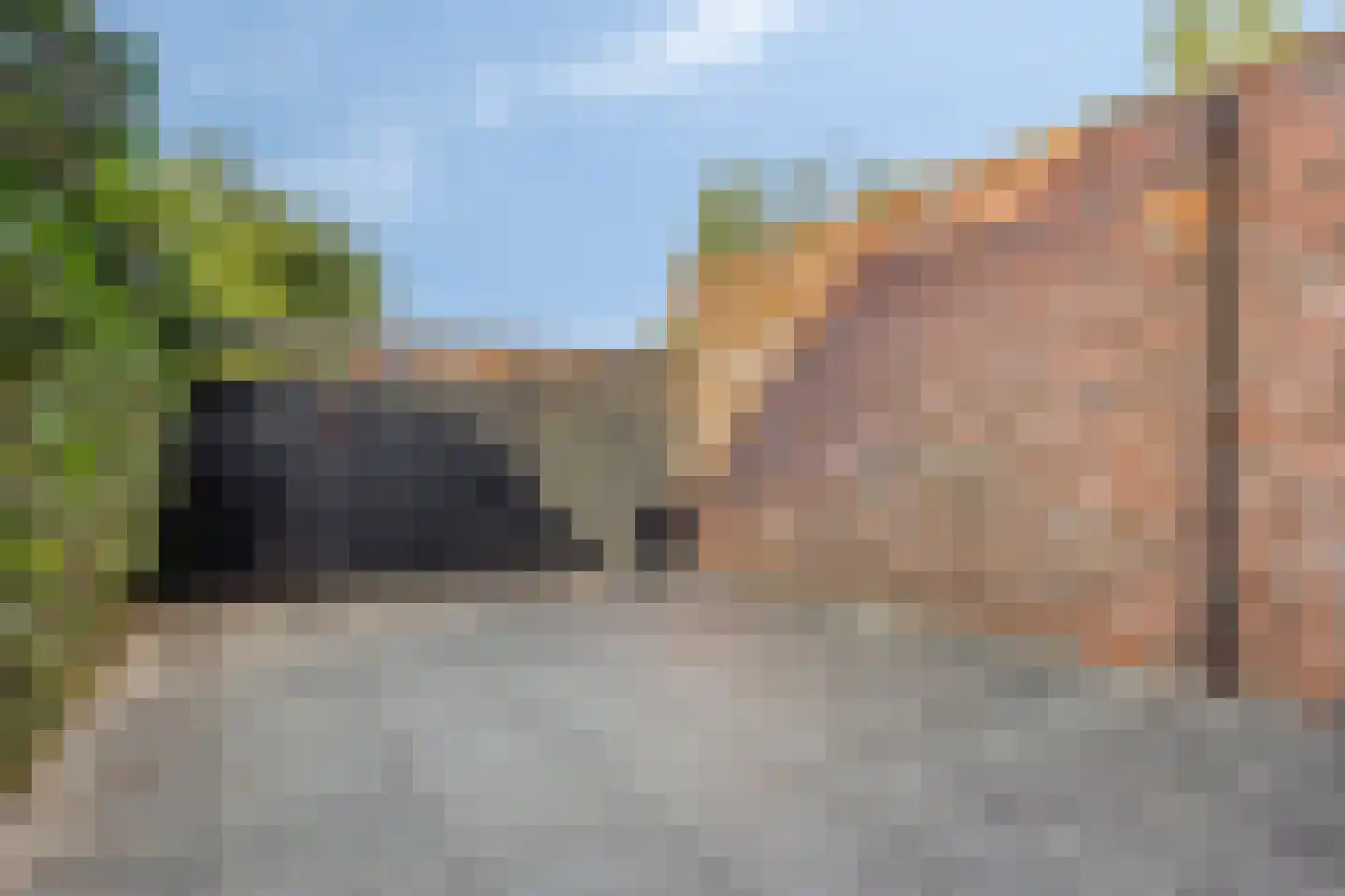 Grasbloem 57 Eindhoven thumbnail 33