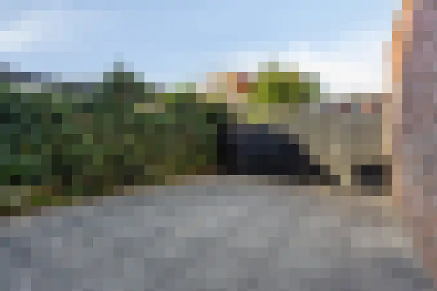 Grasbloem 57 Eindhoven thumbnail 34