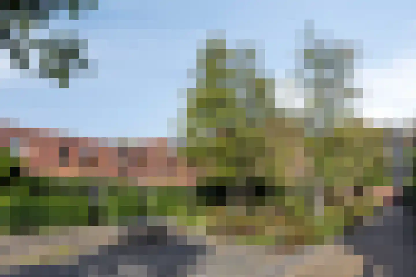 Grasbloem 57 Eindhoven thumbnail 36