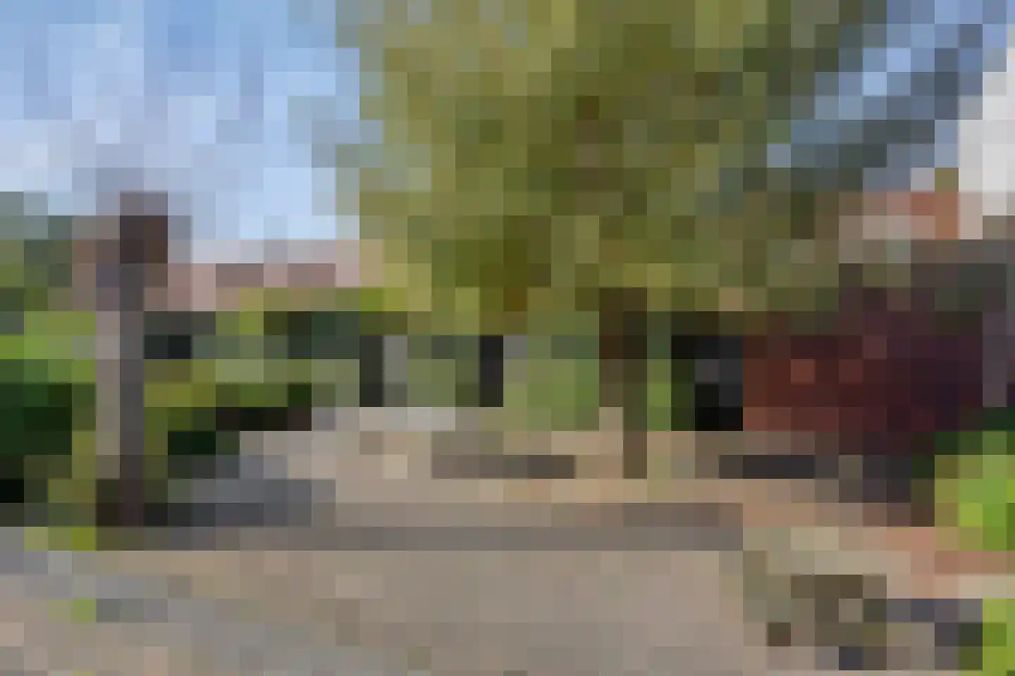 Grasbloem 57 Eindhoven thumbnail 37