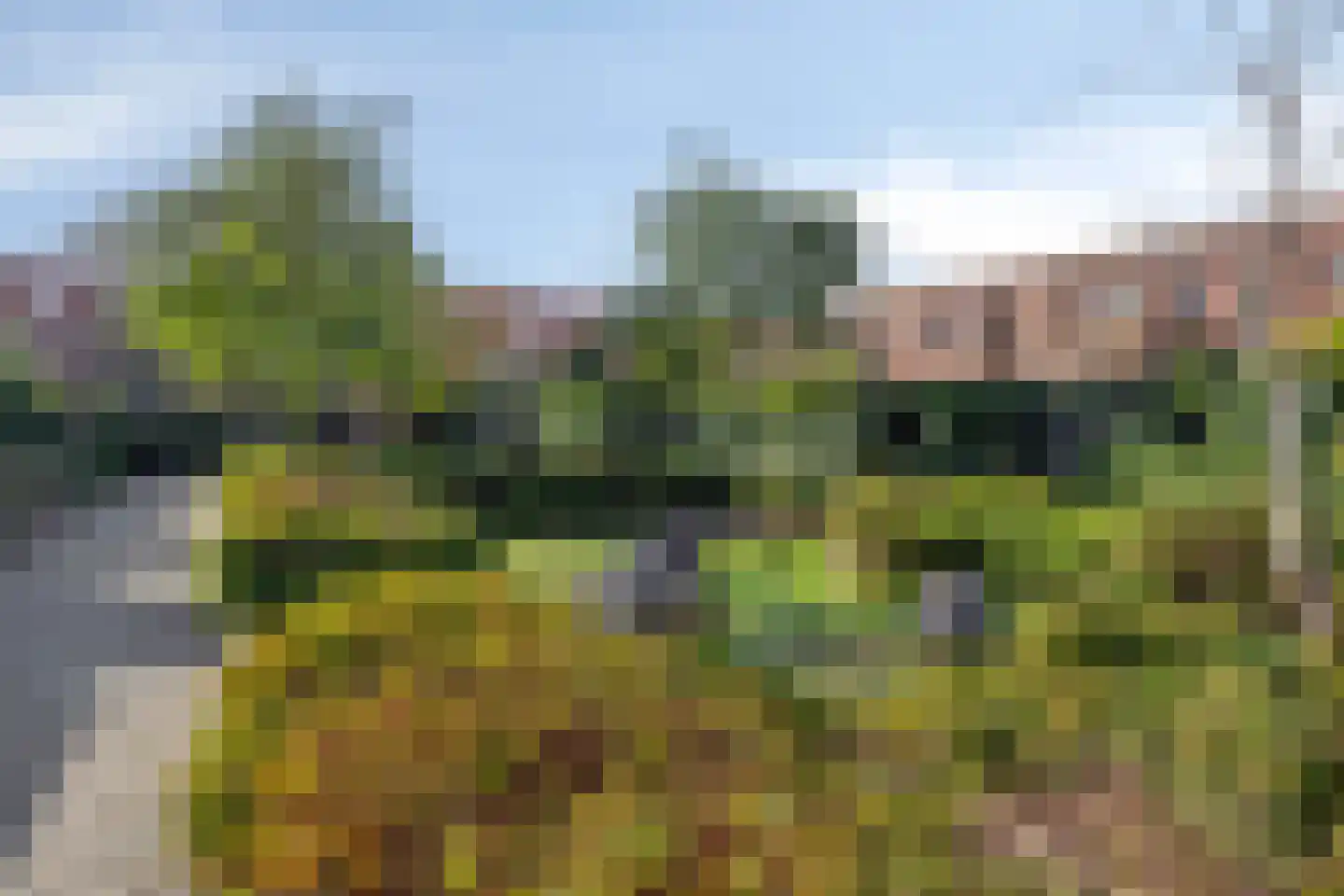 Grasbloem 57 Eindhoven thumbnail 38