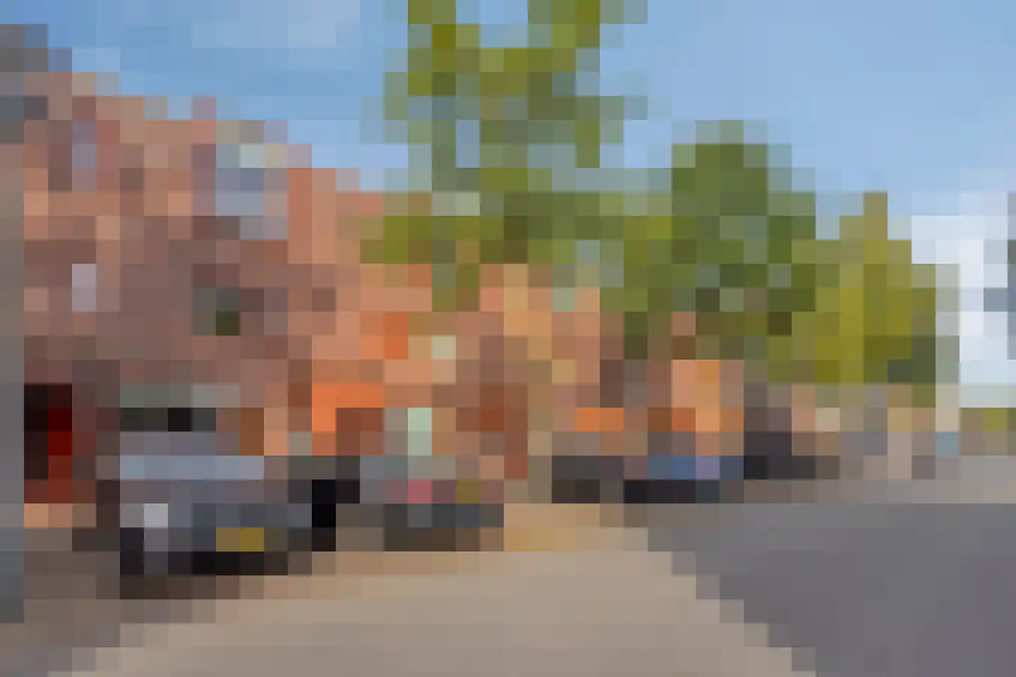 Grasbloem 57 Eindhoven thumbnail 39