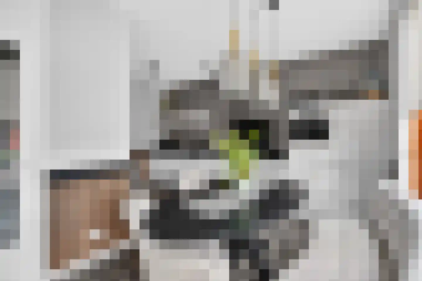 Grasbloem 67 Eindhoven thumbnail 11