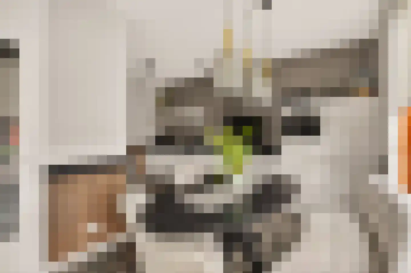 Grasbloem 67 Eindhoven thumbnail 11