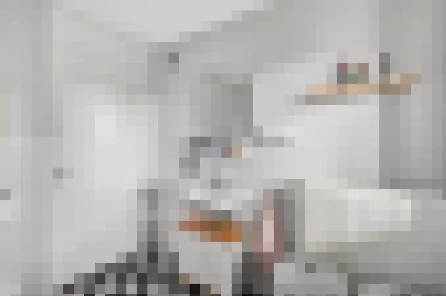 Grasbloem 67 Eindhoven thumbnail 27