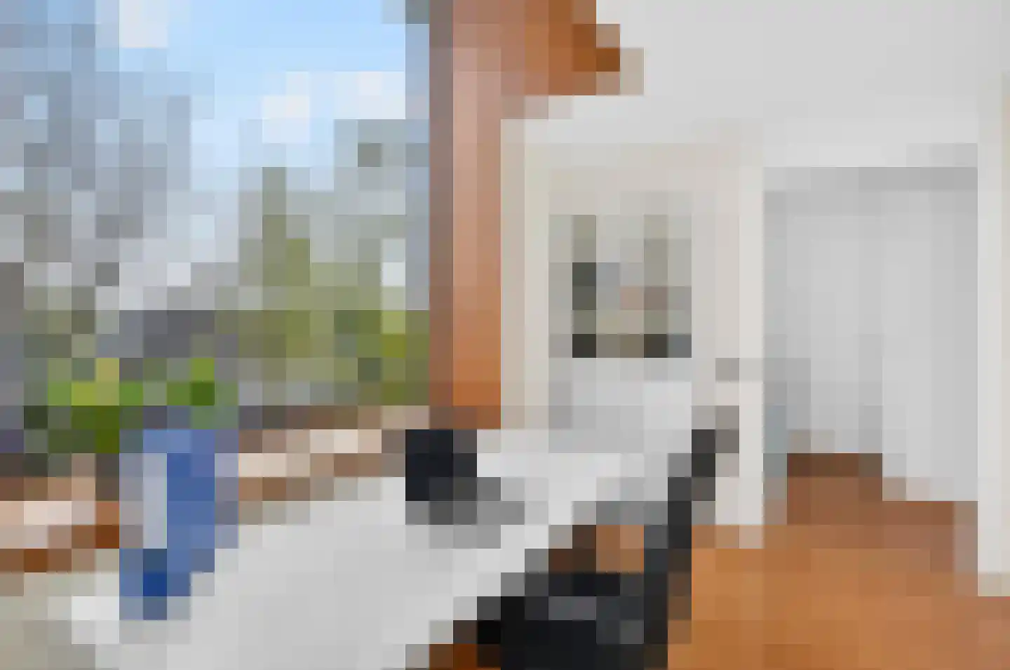 Grasbloem 67 Eindhoven thumbnail 34