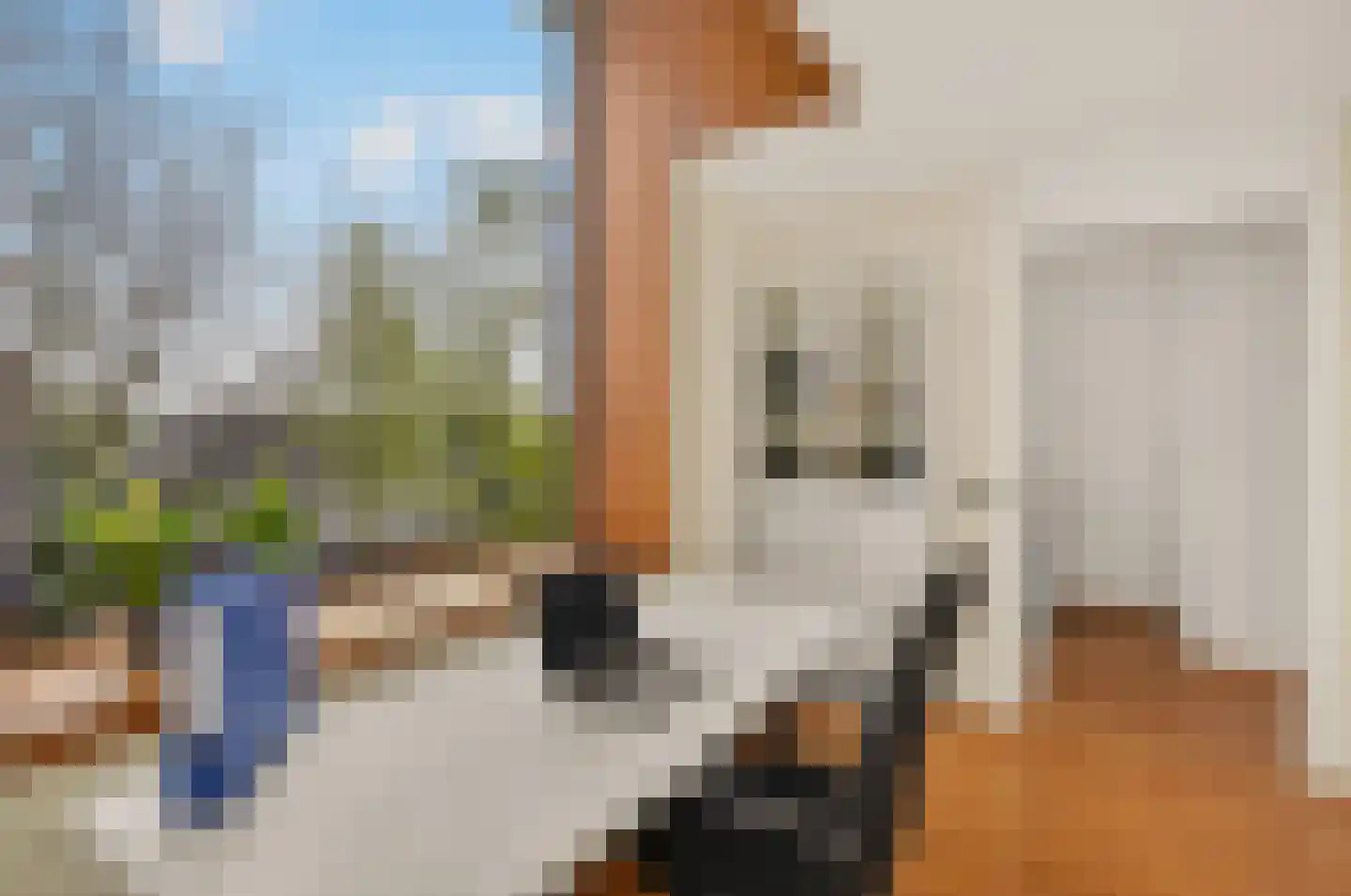Grasbloem 67 Eindhoven thumbnail 36