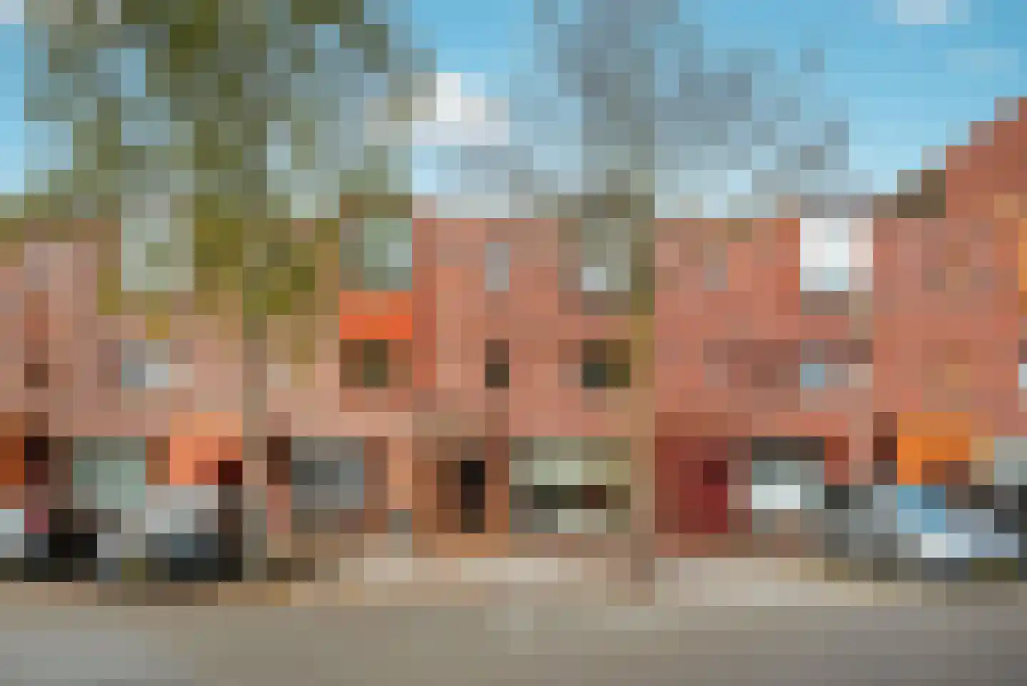 Grasbloem 67 Eindhoven thumbnail 39