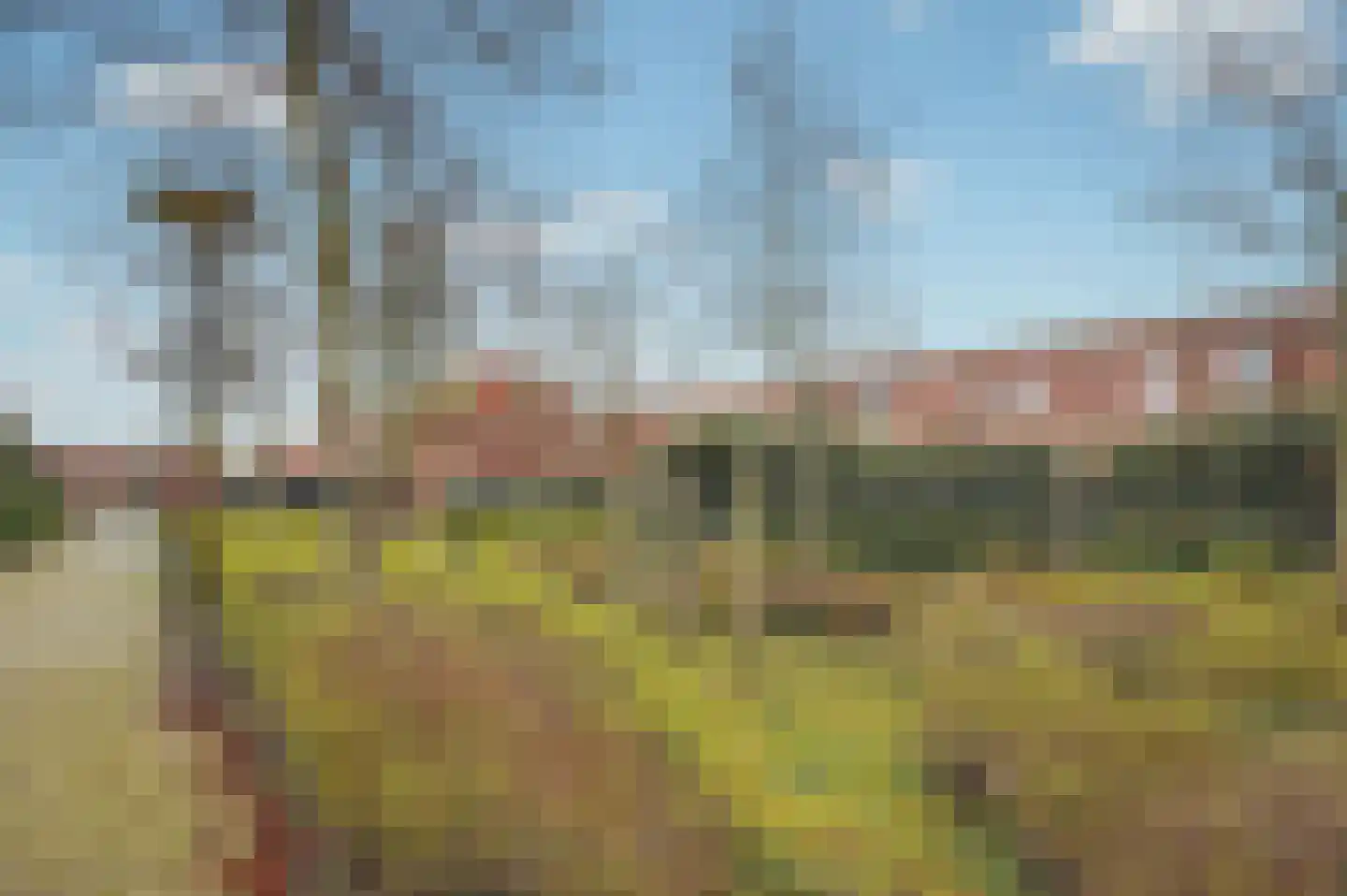 Grasbloem 67 Eindhoven thumbnail 41