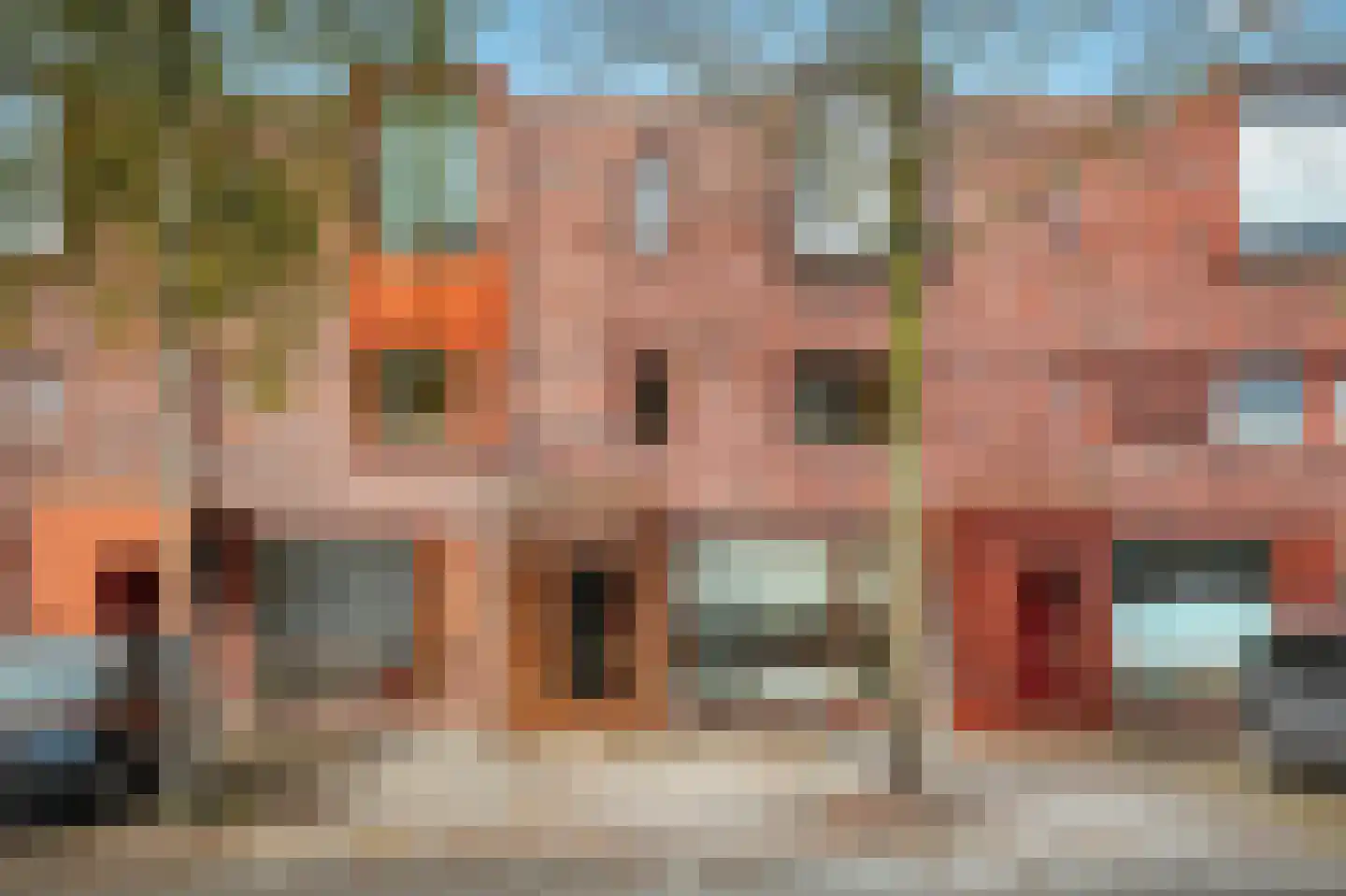 Grasbloem 67 Eindhoven thumbnail 44