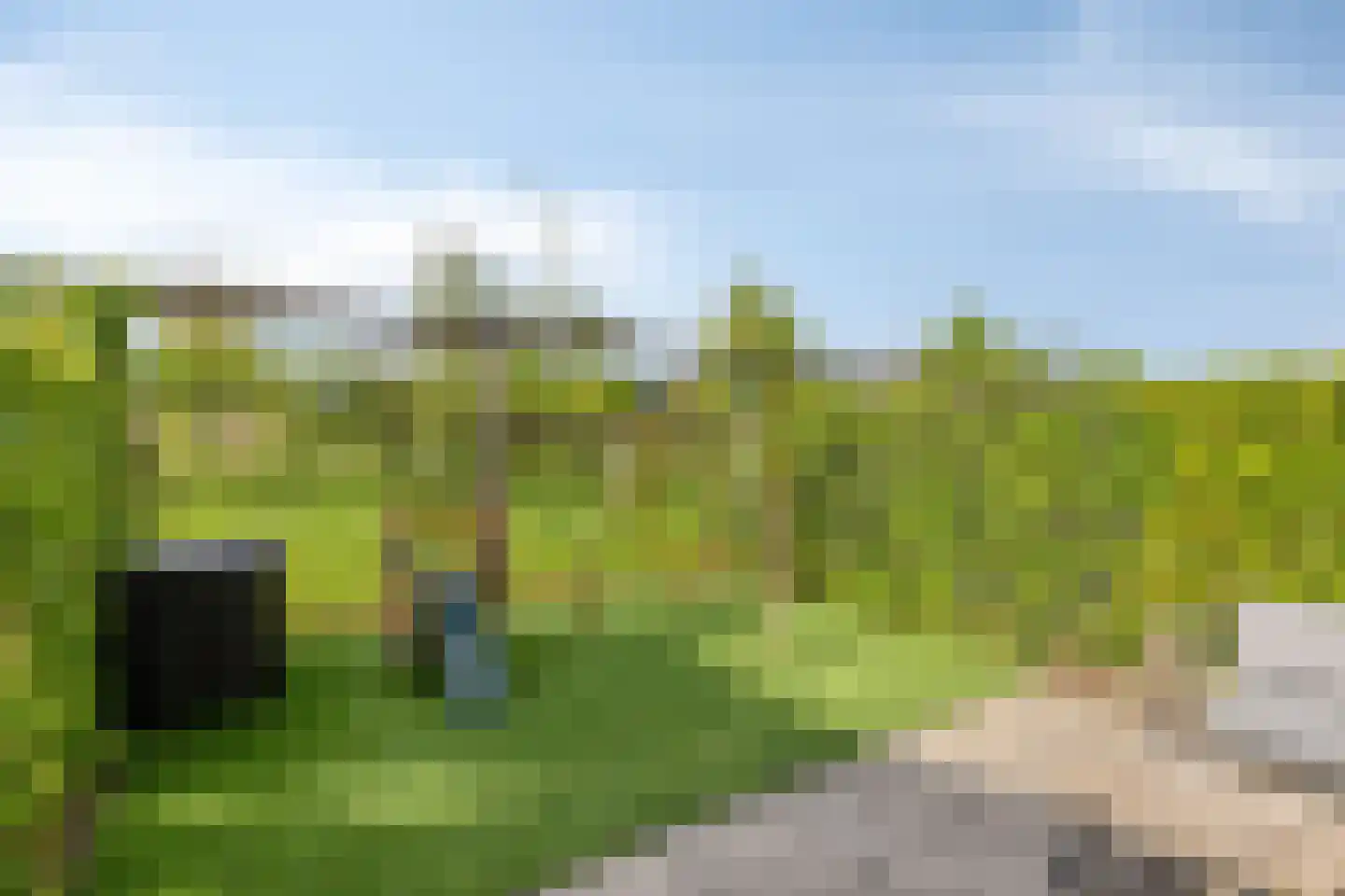 Grasbloem 8 A Eindhoven thumbnail 30