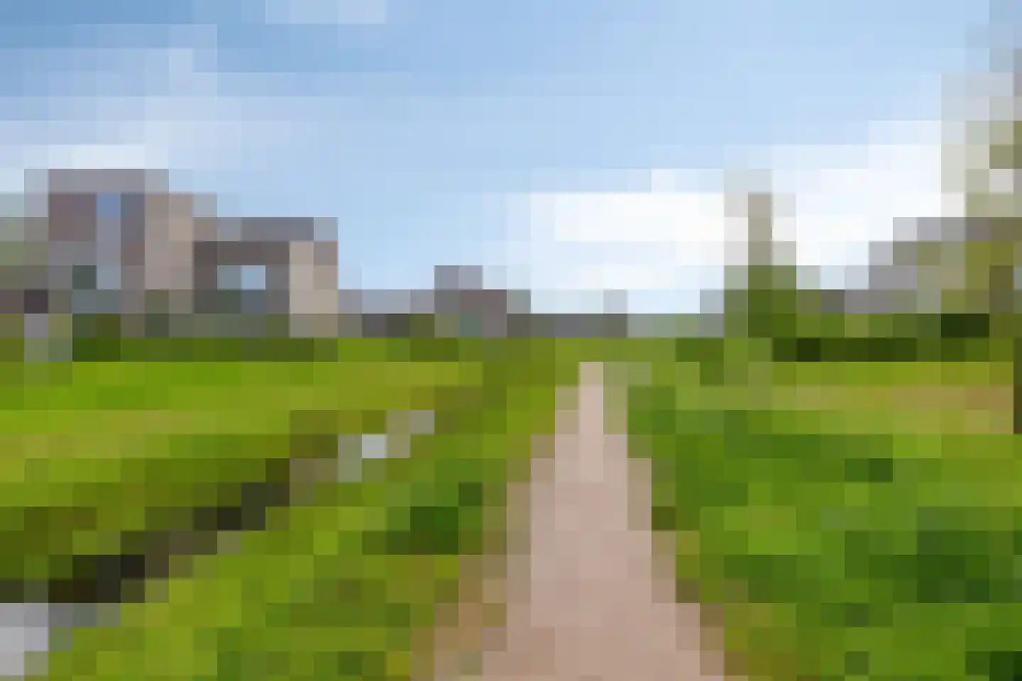 Grasbloem 8 A Eindhoven thumbnail 31