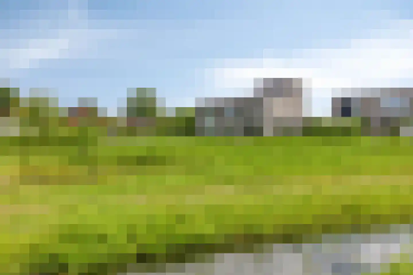 Grasbloem 8 A Eindhoven thumbnail 32