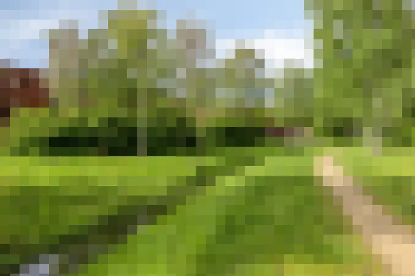 Grasbloem 8 A Eindhoven thumbnail 33