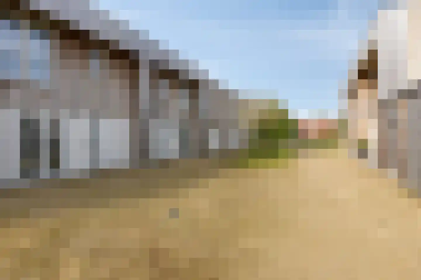Grasbloem 8 A Eindhoven thumbnail 6