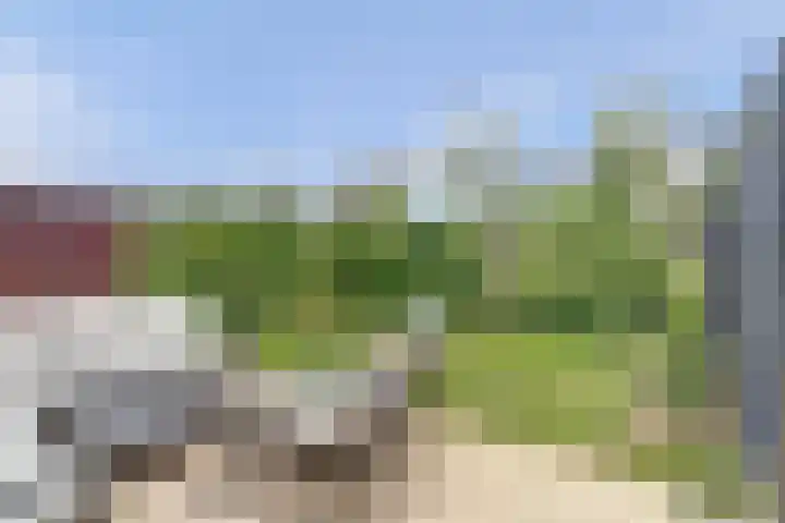 Grasbloem 8 B Eindhoven thumbnail 19