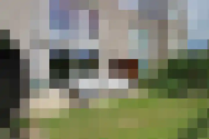 Grasbloem 8 B Eindhoven thumbnail 20