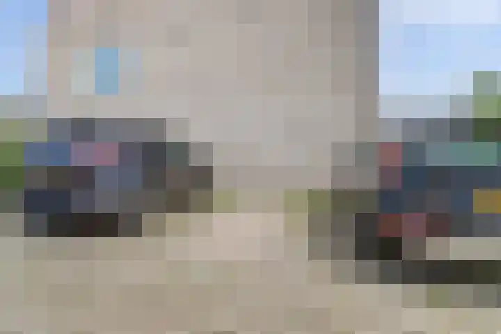 Grasbloem 8 B Eindhoven thumbnail 24