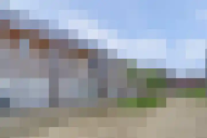 Grasbloem 8 B Eindhoven thumbnail 28
