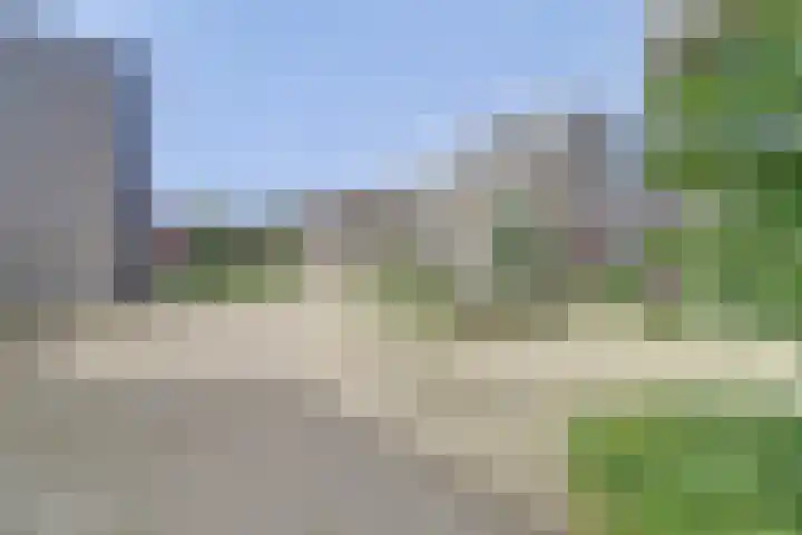 Grasbloem 8 B Eindhoven thumbnail 29