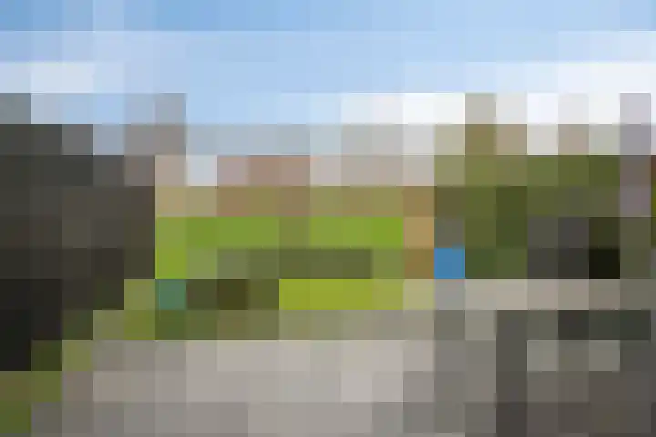 Grasbloem 8 C Eindhoven thumbnail 26