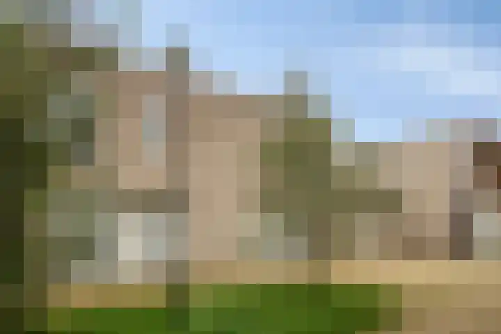 Grasbloem 8 C Eindhoven thumbnail 8