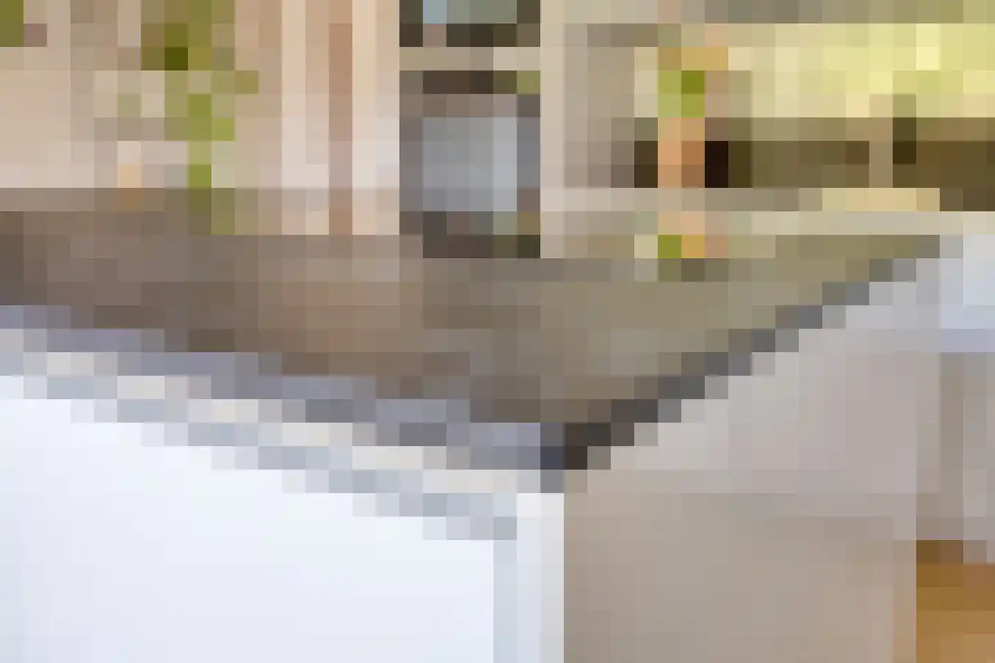 Grasbloem 83 Eindhoven thumbnail 22
